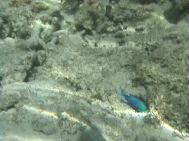 ���ɓ��鋛