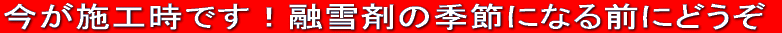 �����{�H���ł��I�Z��܂̋G�߂ɂȂ�O�ɂǂ��� 