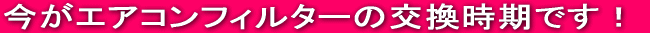 �����G�A�R���t�B���^�[�̌��������ł��I