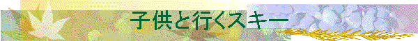 qƍsXL[