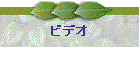 rfI