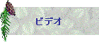rfI