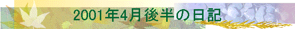 2001N4㔼̓L