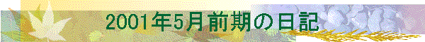 2001N5O̓L