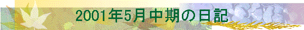 2001年5月中期の日記