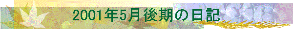 2001N5̓L