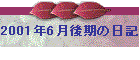 2001年6月後期の日記