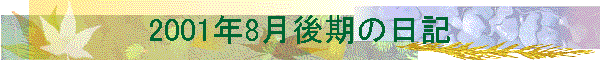 2001N8̓L