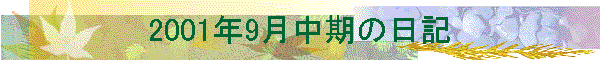 2001N9̓L