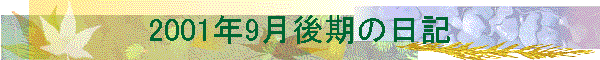 2001N9̓L