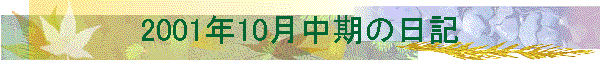 2001N10̓L