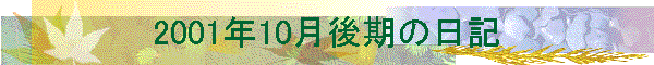 2001N10̓L