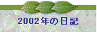 2002N̓L