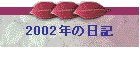2002N̓L