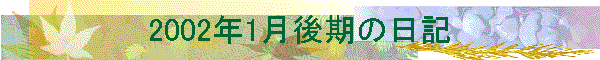 2002N1̓L