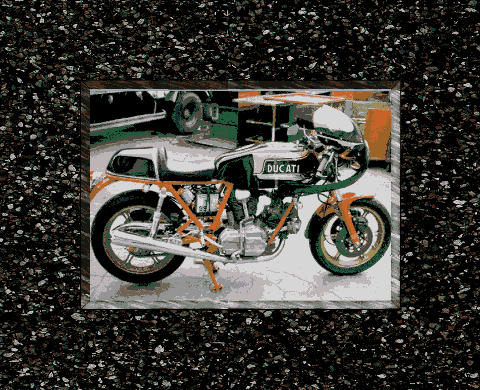 1981�N���}�C�N�w�C���E�b�h���v���J��