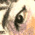 �j�`�h�c�`�m