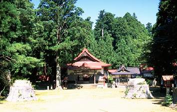 �H�t�R�H�t���̐^�a�Ƌ���