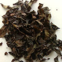 ���g�Ԓ����t