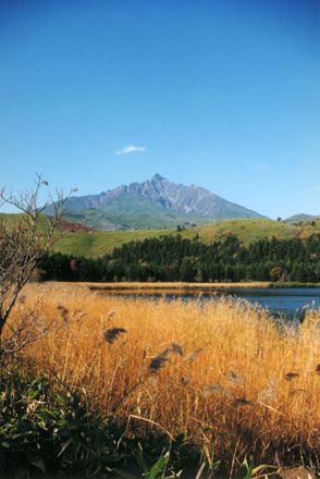 オタトマリ沼から見た利尻富士(利尻山)
