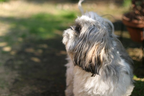 2003:12:30 13:58:17, Canon EOS 10D, EF50mm F1.4 USM, iDAE, 1/750s, F2.0, ISO100, EV0.0, 